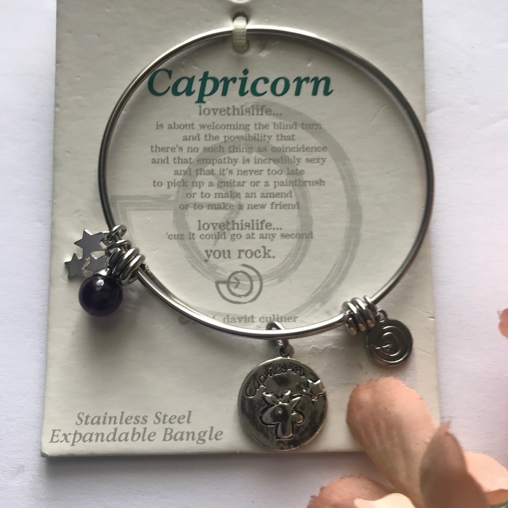 NEW NWT Capricorn Stainless Steel Expandable Bangle with Charms.